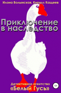 Приключение в наследство