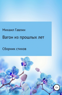 Михаил Гавлин - Вагон из прошлых лет. Сборник стихов