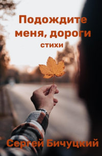 Сергей Бичуцкий - Подождите меня, дороги