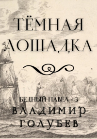 Владимир Голубев - Темная лошадка
