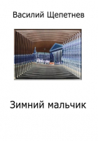 Василий Щепетнев - Зимний мальчик