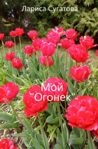 Мой «Огонек»