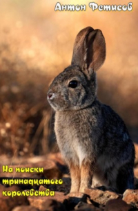 Антон Евгеньевич Фетисов - На поиски тринадцатого королевства