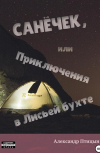 Александр Лебедев - Санёчек, или Приключения в Лисьей бухте