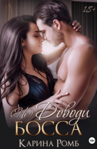 (Не)Доводи босса