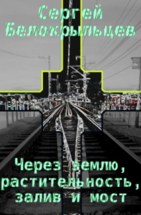 Сергей Валерьевич Белокрыльцев - Через землю, растительность, залив и мост