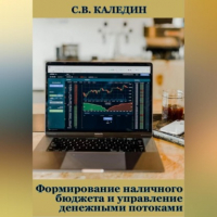 Сергей Каледин - Формирование наличного бюджета и управление денежными потоками