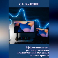 Сергей Каледин - Эффективность регламентации полномочий органов по контролю