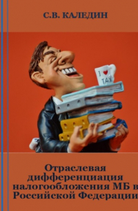 Отраслевая дифференциация налогообложения МБ в Российской Федерации