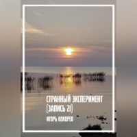 Игорь Кокорев - Странный эксперимент. Запись 21