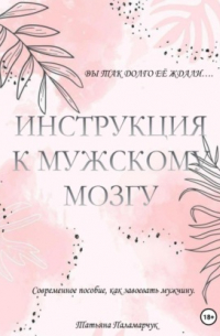 Татьяна Сергеевна Паламарчук - Инструкция к мужскому мозгу