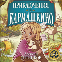 Алексей Ситников - Приключения в Кармашкино