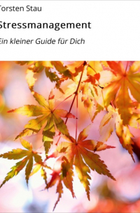 Torsten Stau - Stressmanagement