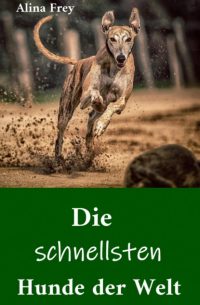 Die schnellsten Hunde der Welt