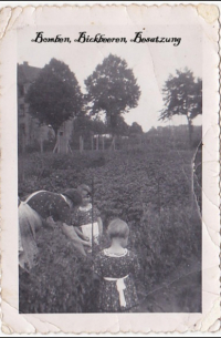 Helga Borchelt - Bomben, Bickbeeren, Besatzung