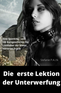 Stefanie P.A.I.N - Die erste Lektion der Unterwerfung