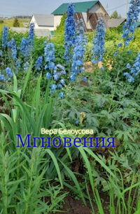 Вера Белоусова - Мгновения