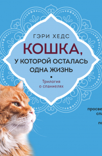 Кошка, у которой осталась одна жизнь