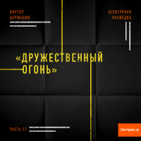 Виктор Державин - Агентурная разведка. Часть 11 «Дружественный огонь»
