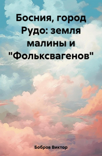 Виктор Бобров - Босния, город Рудо: земля малины и «Фольксвагенов»