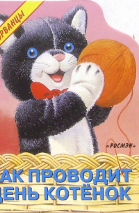 Как проводит день котенок