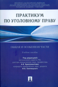  - Практикум по уголовному праву. Общая и особенная части
