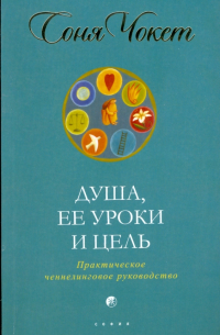 Душа, ее уроки и цель: Практическое ченнелинговое руководство