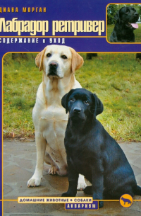 Лабрадор ретривер. Содержание и уход