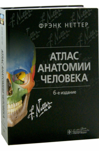 Фрэнк Неттер - Атлас анатомии человека