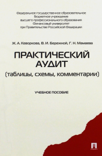  - Практический аудит (таблицы, схемы, комментарии). Учебное пособие