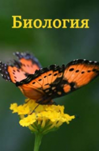 Курс энтомологии, теоретической и прикладной