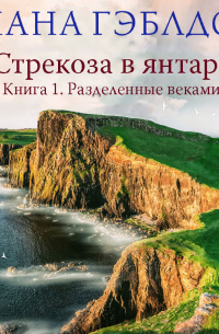 Стрекоза в янтаре. Книга 1. Разделенные веками