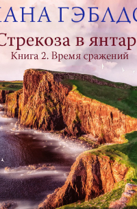 Стрекоза в янтаре. Книга 2. Время сражений