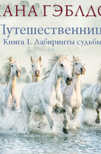 Путешественница. Книга 1. Лабиринты судьбы