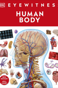 Ричард Уолкер - Human Body