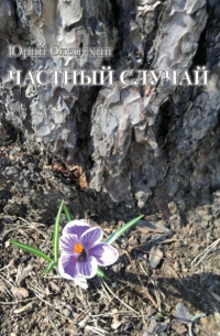 Юрий Слепухин - Частный случай