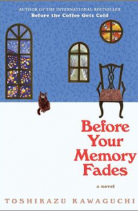 Before Your Memory Fades