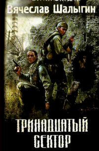 Вячеслав Шалыгин - Тринадцатый сектор