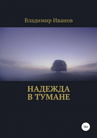 Владимир Дмитриевич Иванов - Надежда в тумане