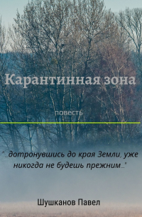 Карантинная зона