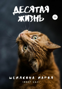 Мария Шемякина - Десятая жизнь
