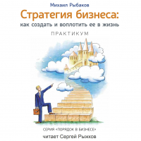 Михаил Рыбаков - Стратегия бизнеса: как создать и воплотить ее в жизнь с активным участием команды. Практикум