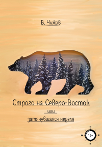 Василий Чижов - Строго на Северо-Восток