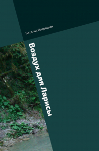 Воздух для Ларисы. Ироничный роман