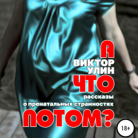 Виктор Улин - А что потом?