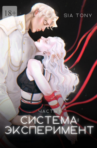 Система: эксперимент. Часть 1