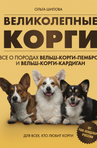 Ольга Шилова - Великолепные корги: все о породах вельш-коргипемброк и вельш-корги-кардиган