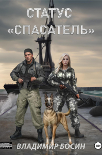 Владимир Георгиевич Босин - Статус «Спасатель»
