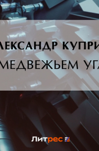 В медвежьем углу