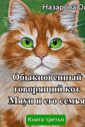 Обыкновенный говорящий кот Мяун и его семья